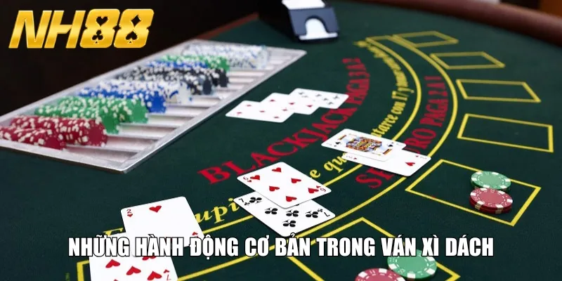 Những hành động cơ bản trong ván xì dách